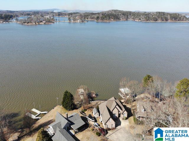 386 Lakeview Circle Alpine, AL 35014 - Photo 46 of 48