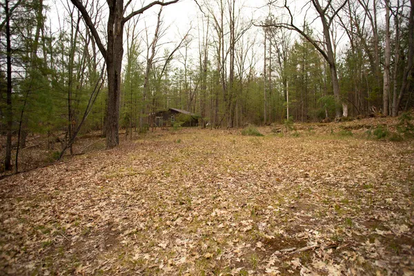 $22,500 | 0 Northeast Bailey Street, Kalkaska, MI 49646