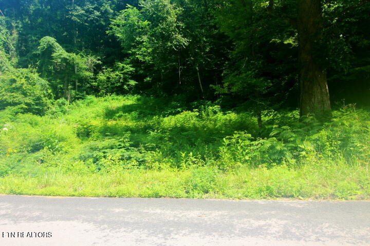 Tbd Carrs Creek Road Walland, TN 37886 - Photo 3 of 4 Lot 1 Carrs Creek 003