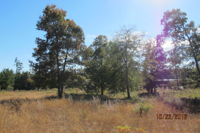 Lot 9 Sable Lane Trenton, SC 29847 - Photo 1 of 1