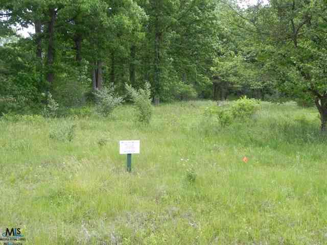 11543 Erin's Way Romeo, MI 48065 - Photo 2 of 28 31084983-1.JPG