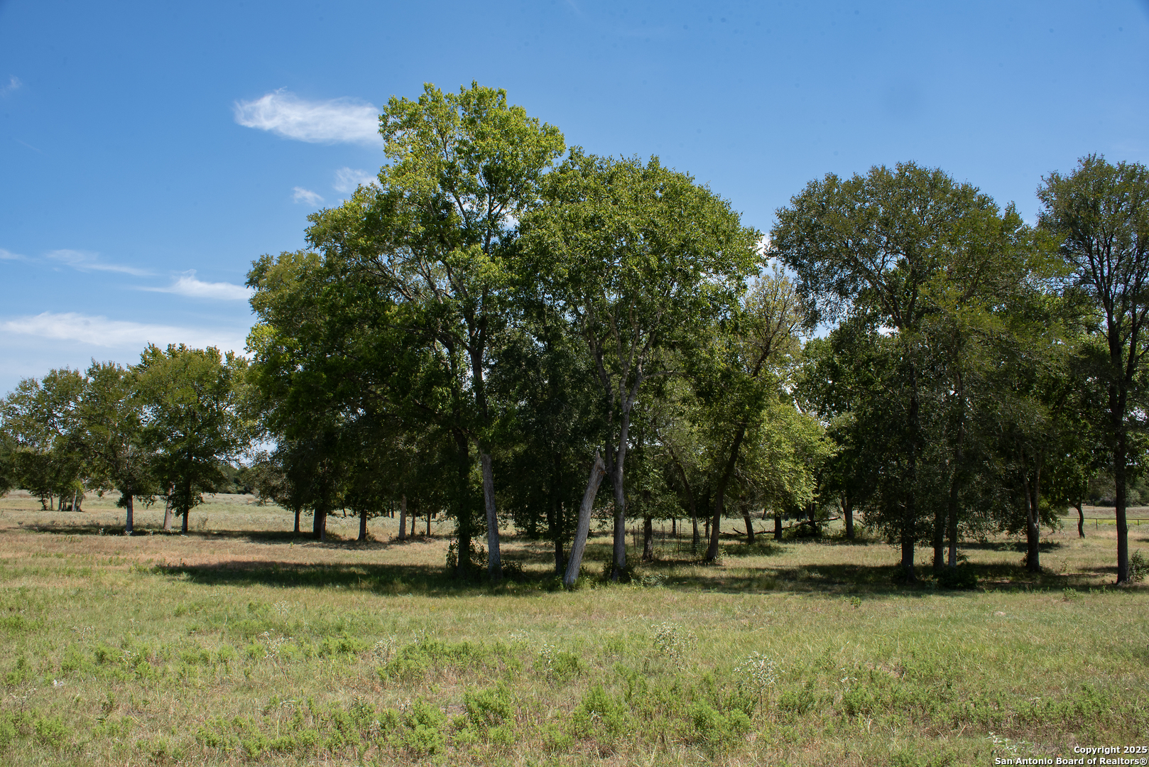 9560 Old Colony Line Road Dale, TX 78616 - Photo 41 of 41 a view of a golf course