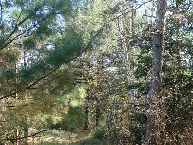 9 Camp 9 Road Minocqua, WI 54548 - Photo 11 of 17 Gallery Image 11