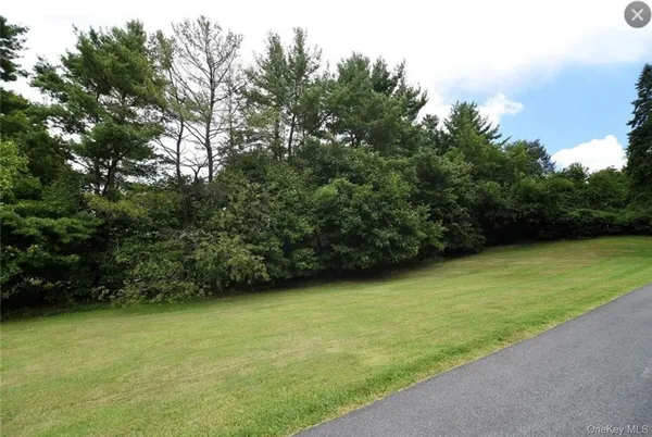 a view of a yard with a trees