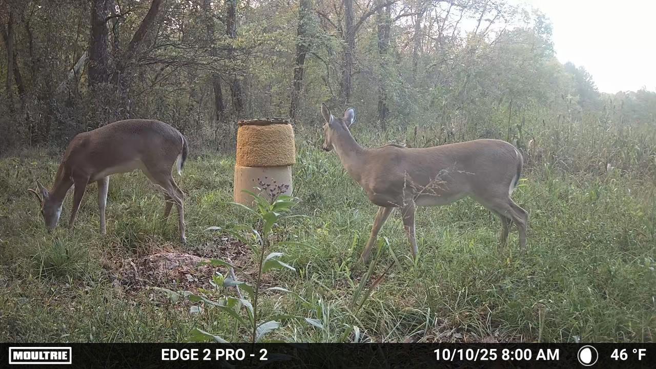 1527 Glass Mill Road Chickamauga, GA 30707 - Photo 26 of 36 Temp_1586093-20251010123027-pir_20251010