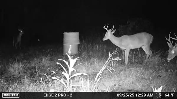 $650,000 | 1527 Glass Mill Road, Chickamauga, GA 30707