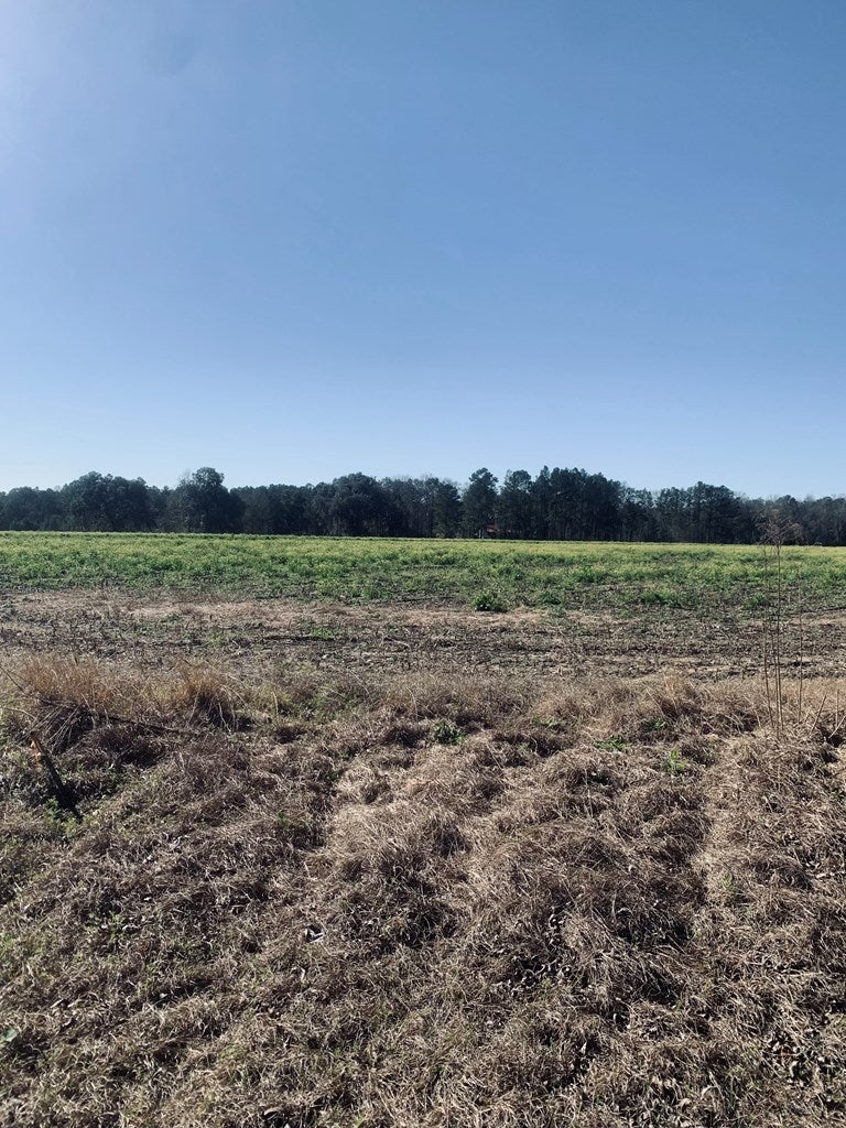 1235 Tired Creek Road Whigham, GA 39897 - Photo 2 of 11 Gallery Image 2