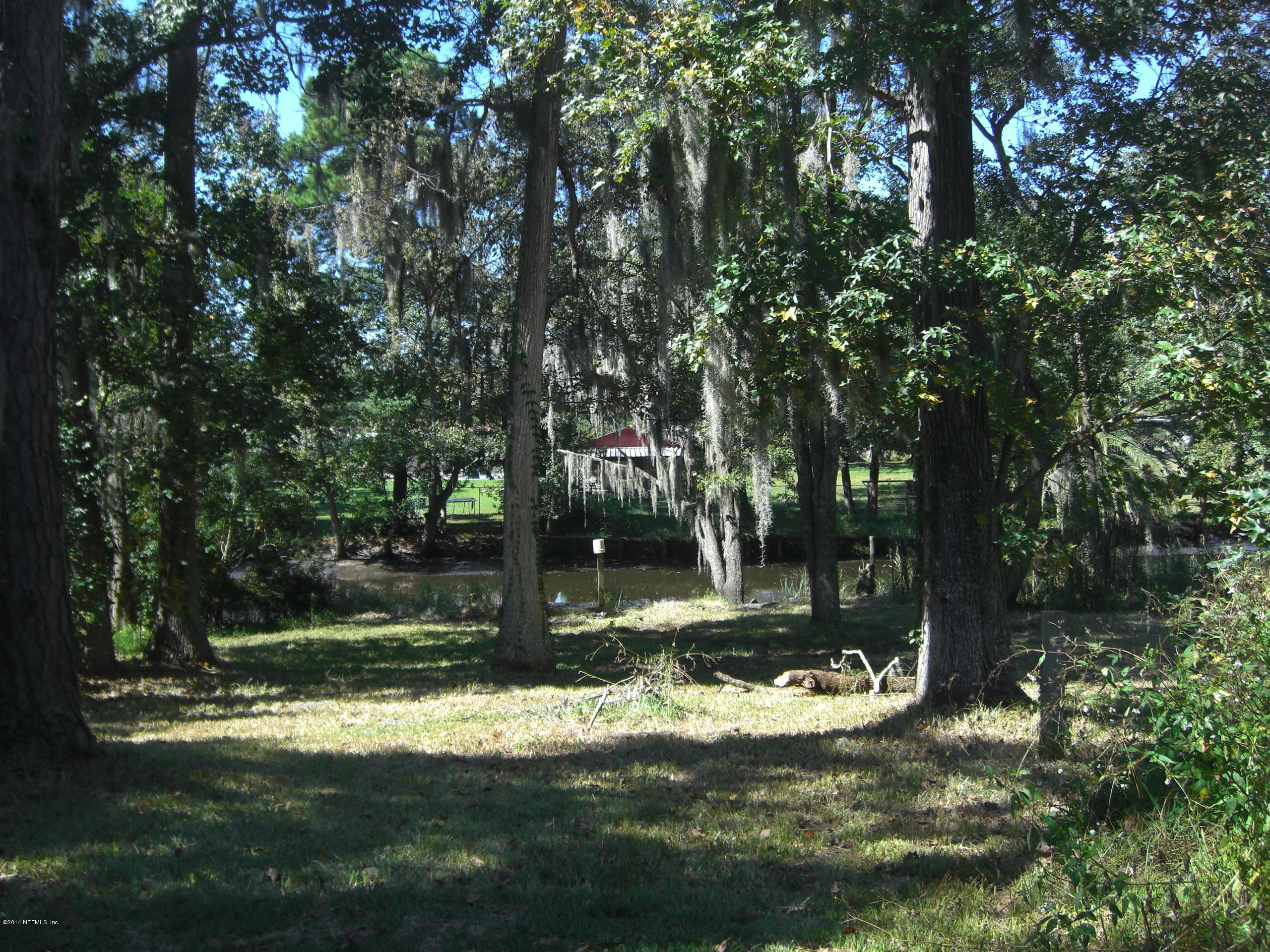 10586 Rutgers Road Jacksonville, FL 32218 - Photo 3 of 50 a view of a tree in a yard