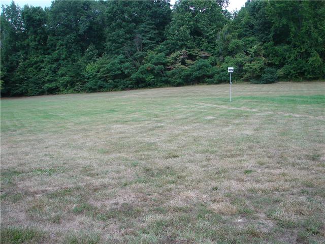 235 South Tunnel Road Portland, TN 37148 - Photo 3 of 12 Total privacy in the large back yard!