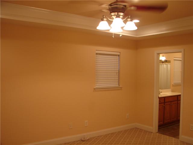 235 South Tunnel Road Portland, TN 37148 - Photo 8 of 12 Nice large master!