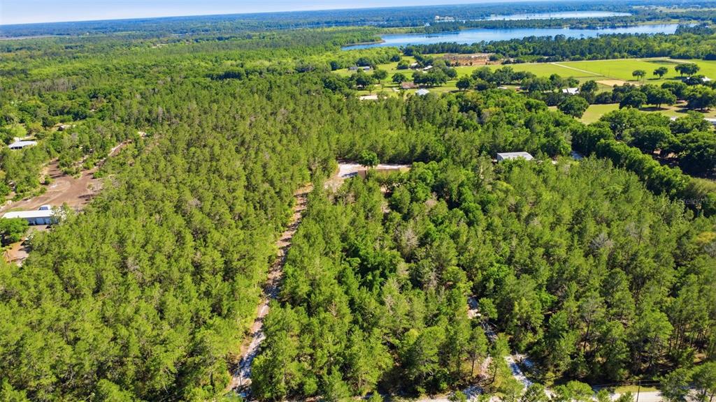 1640 Red Dog Road De Leon Springs, FL 32130 - Photo 11 of 58