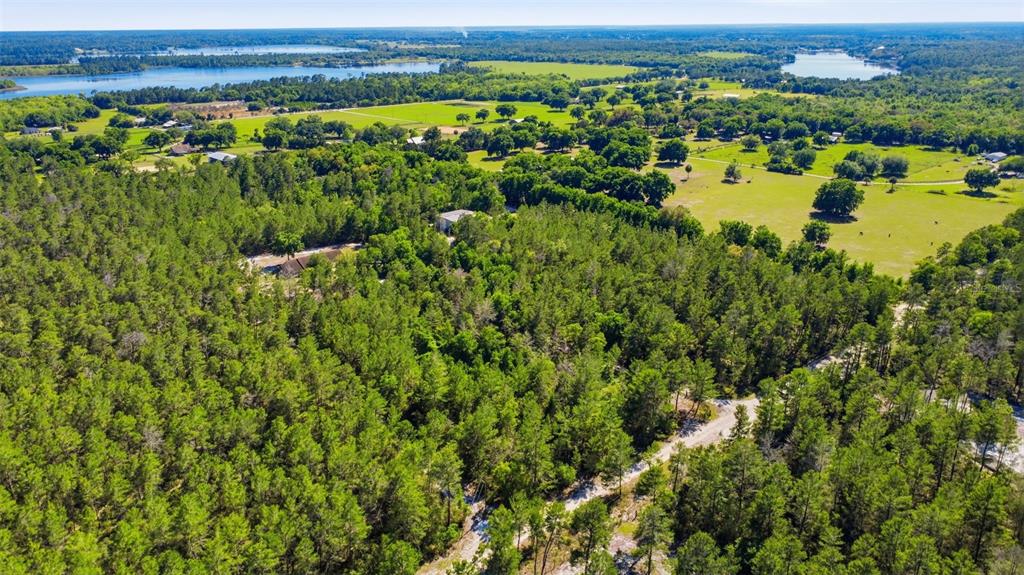 1640 Red Dog Road De Leon Springs, FL 32130 - Photo 12 of 58