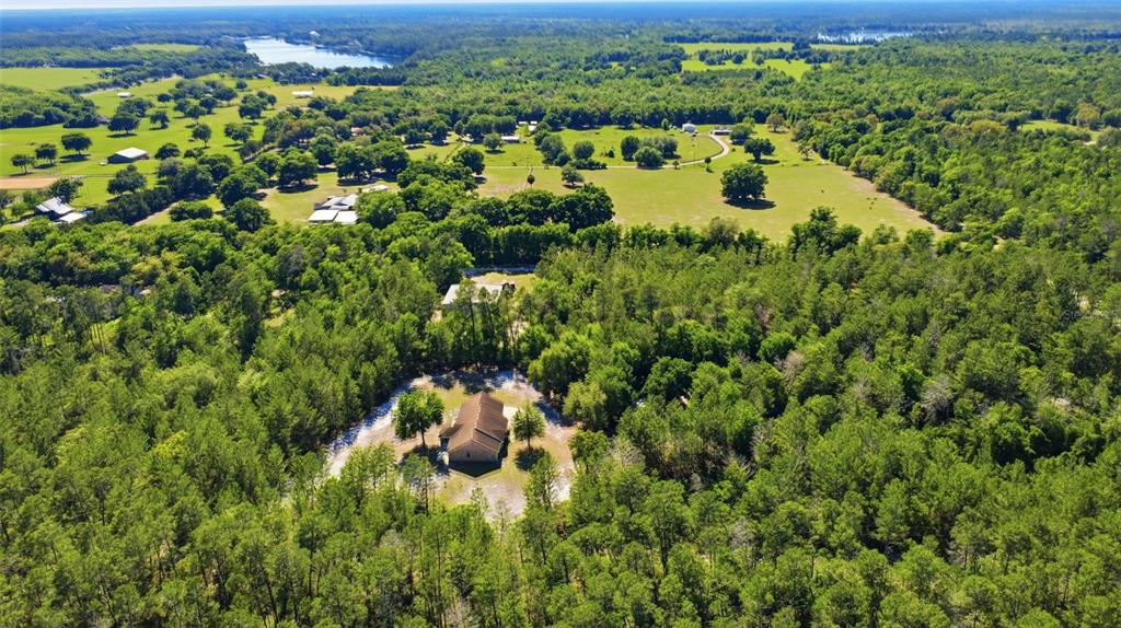 1640 Red Dog Road De Leon Springs, FL 32130 - Photo 13 of 58