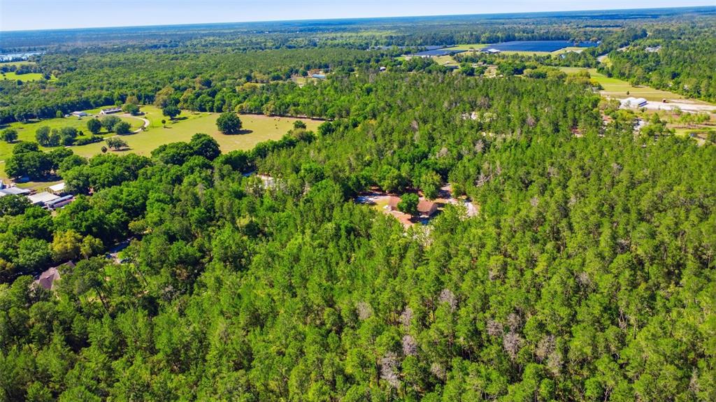 1640 Red Dog Road De Leon Springs, FL 32130 - Photo 14 of 58