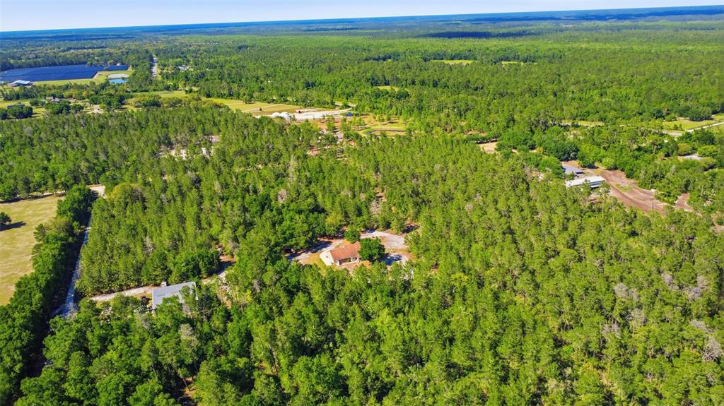 1640 Red Dog Road De Leon Springs, FL 32130 - Photo 15 of 58