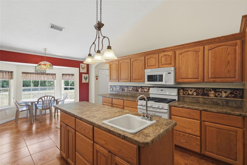 1640 Red Dog Road De Leon Springs, FL 32130 - Photo 31 of 58