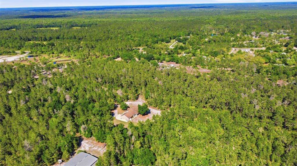 1640 Red Dog Road De Leon Springs, FL 32130 - Photo 58 of 58