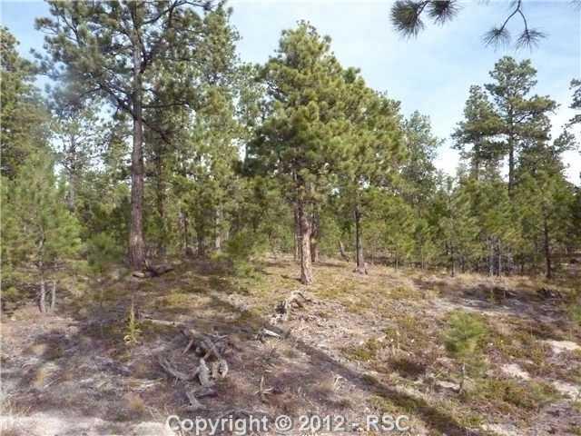 4210 Hidden Rock Road Colorado Springs, CO 80908 - Photo 2 of 7 Gallery Image 2