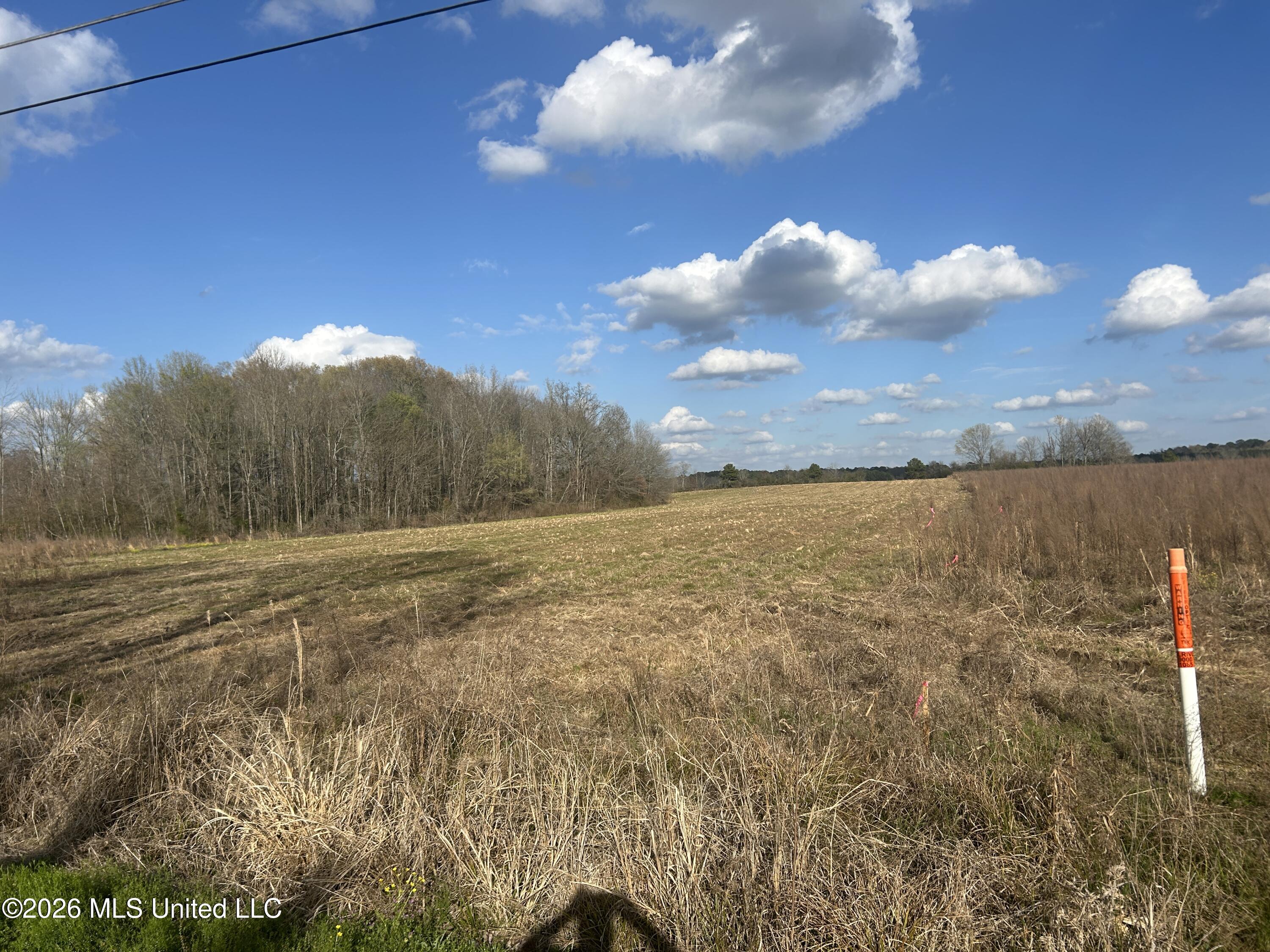 Old Hillsboro Road Property photo