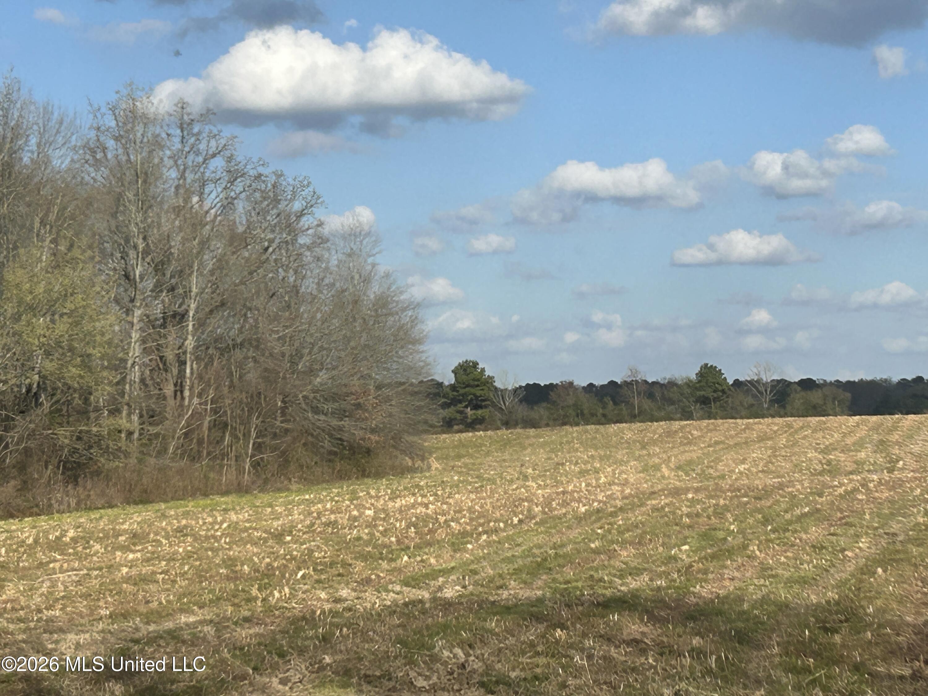 Hillsboro Road Forest, MS 39074 - Photo 2 of 3 Property Photo