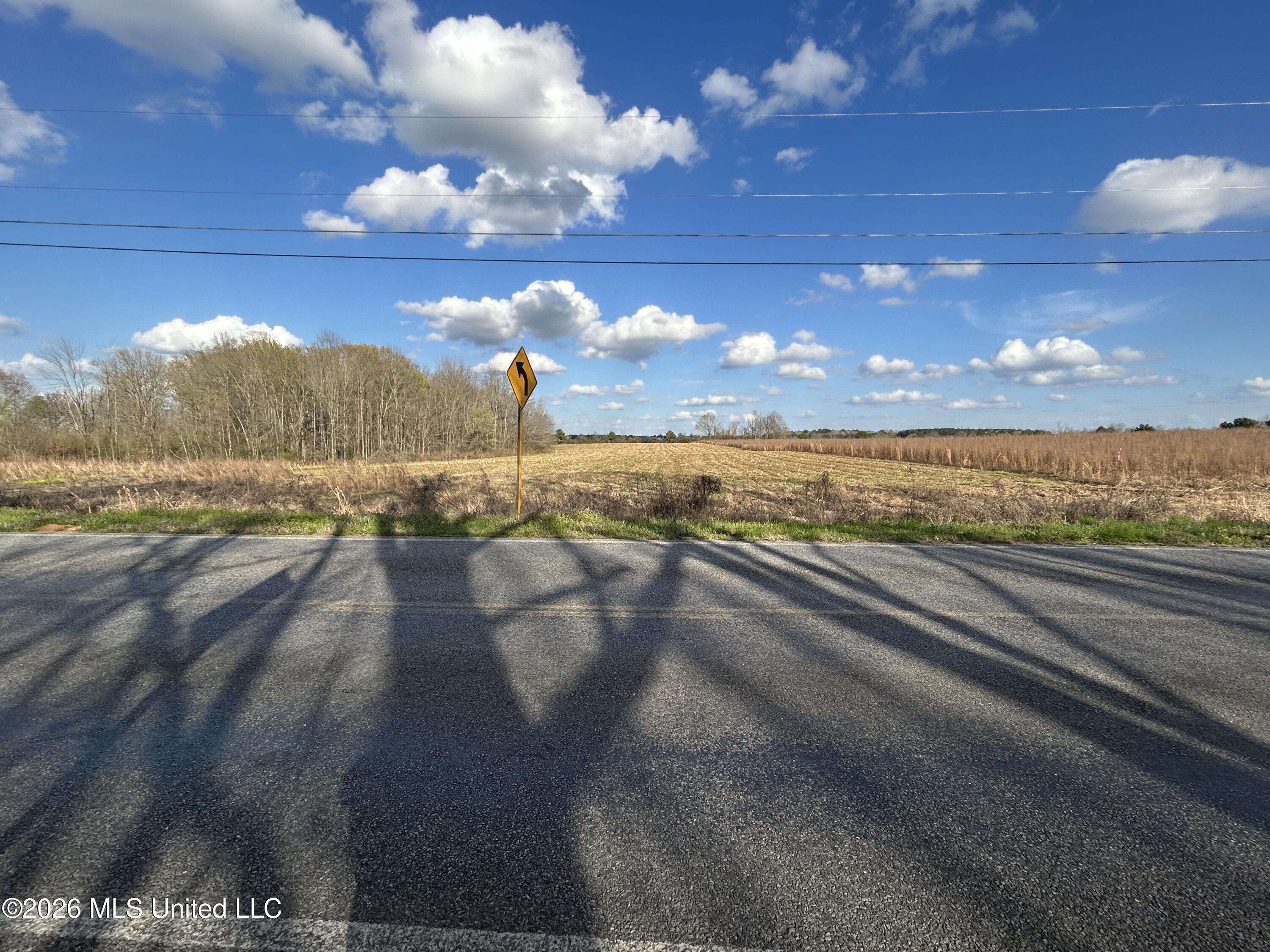 Hillsboro Road Forest, MS 39074 - Photo 3 of 3 Road Photo looking into the property