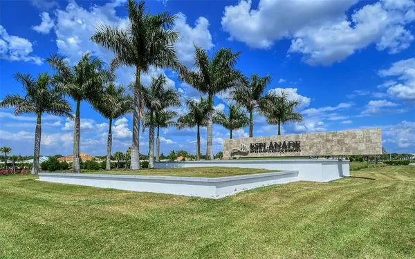 a view of a pathway with a tree in front of it