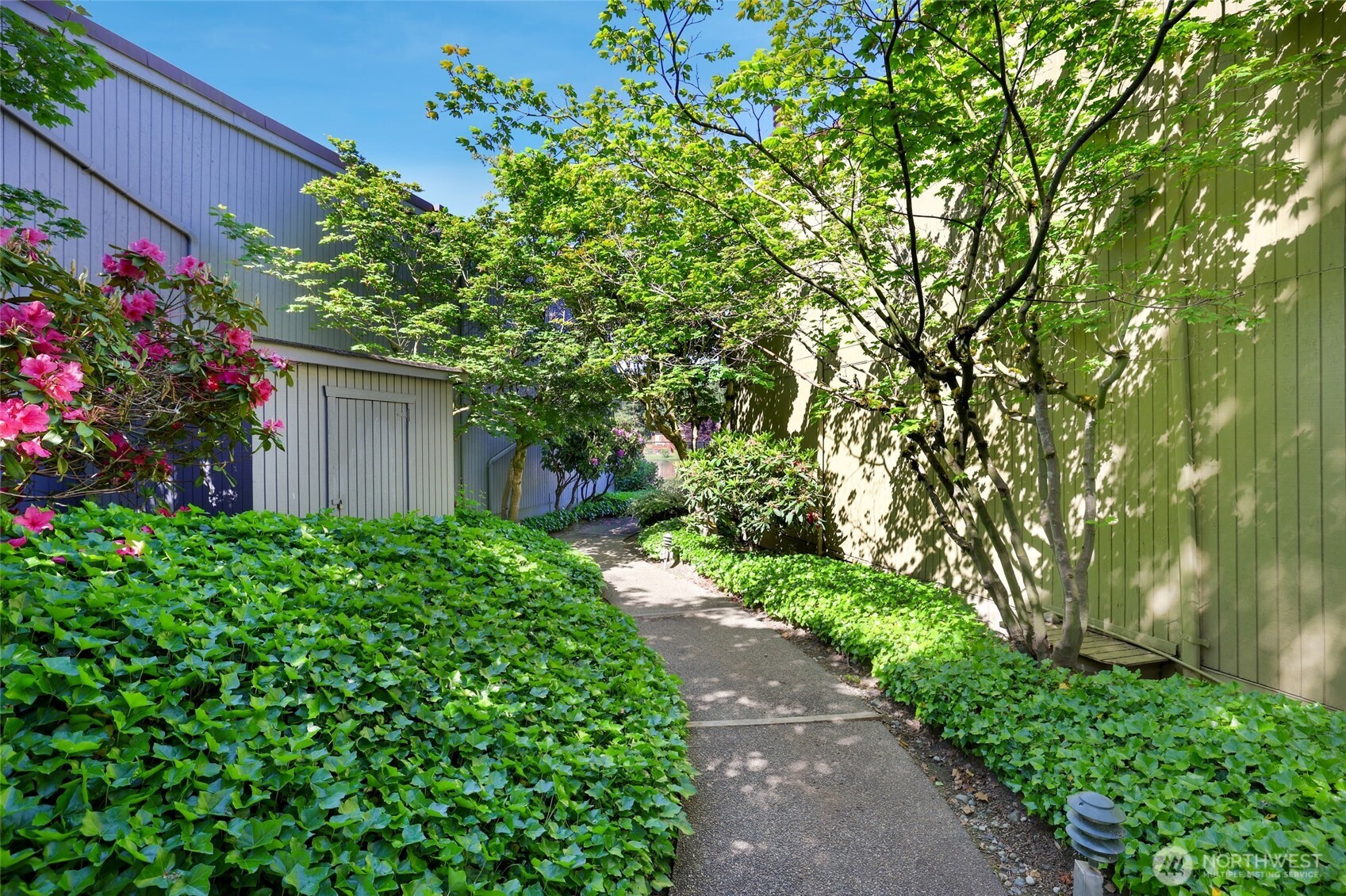 30831 13th Place South, Unit 13 Federal Way, WA 98003 - Photo 32 of 38 a backyard of a house with lots of green space