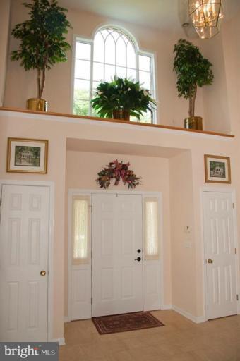 Entrance / Foyer