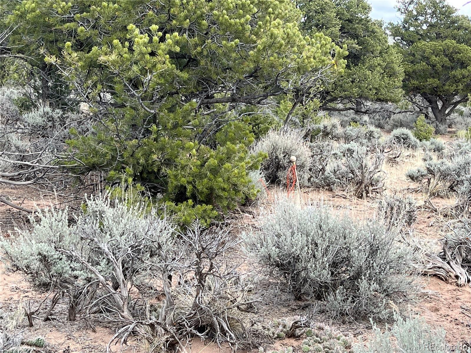 0 Annenberg Road Fort Garland, CO 81133 - Photo 12 of 27 Gallery Image 12