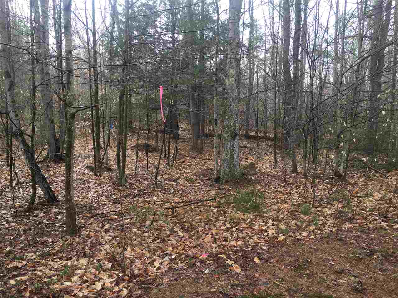 Stockbridge Corner Road Alton, NH 03809 - Photo 2 of 4