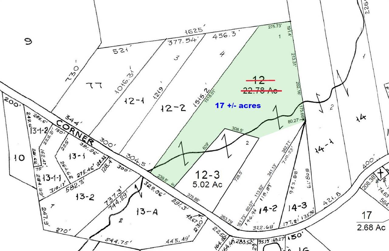 Stockbridge Corner Road Alton, NH 03809 - Photo 4 of 4
