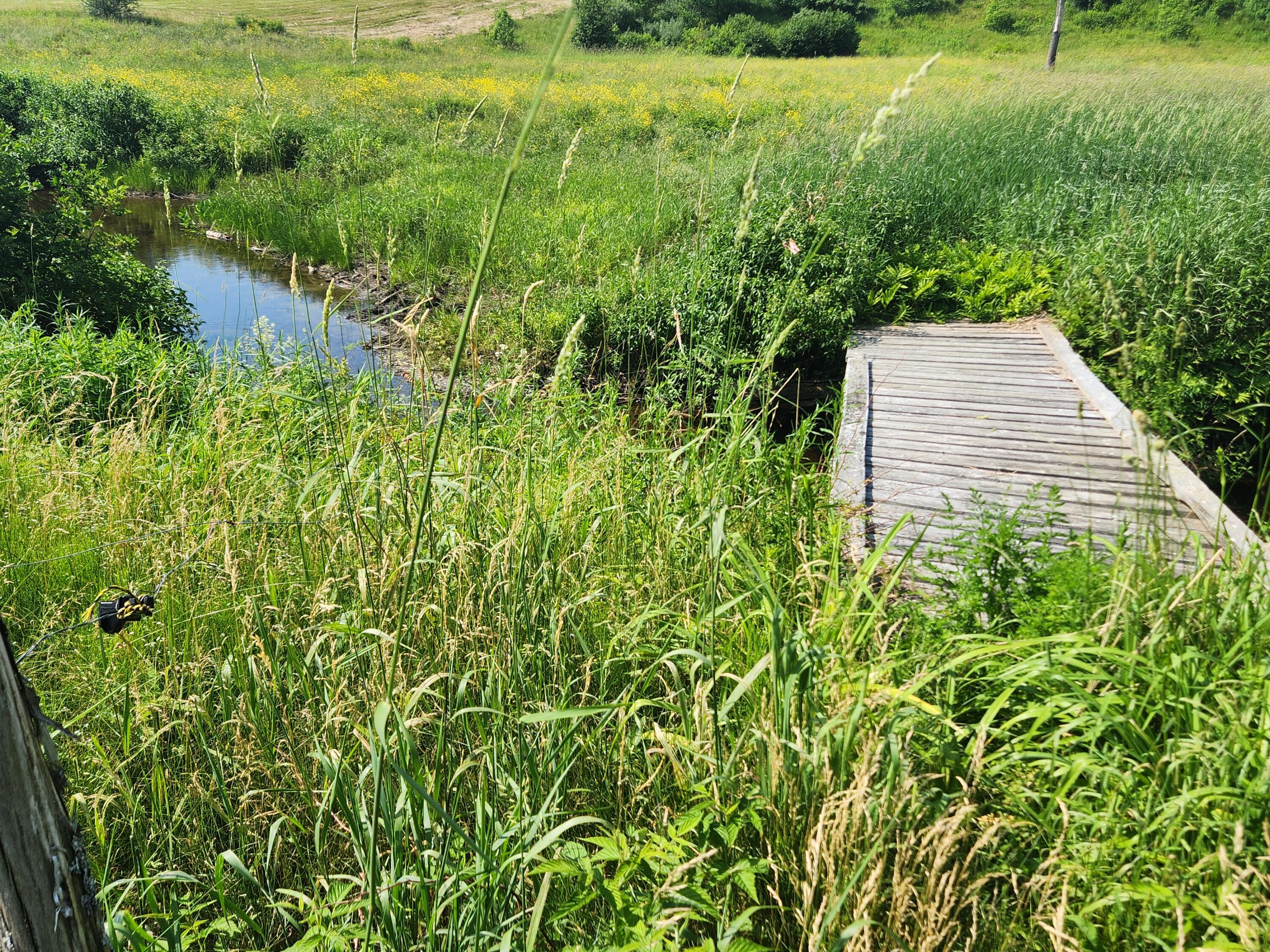 643 Dirigo Road China, ME 04358 - Photo 17 of 35 20240620_152323
