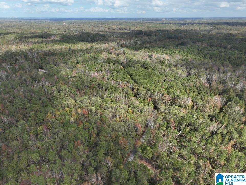 119 Plantation Road, Unit 1 Hope Hull, AL 36043 - Photo 33 of 35