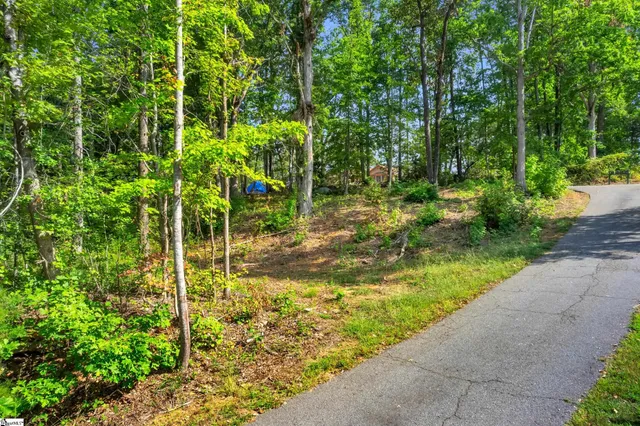 $149,500 | 101-103 George Williams Drive, Easley, SC 29640