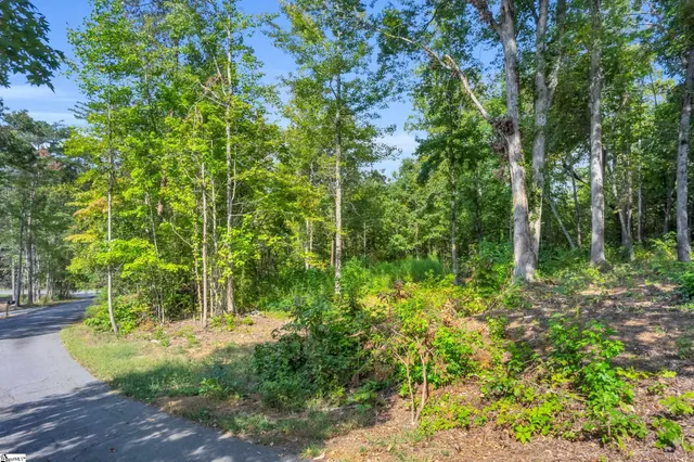 $149,500 | 101-103 George Williams Drive, Easley, SC 29640