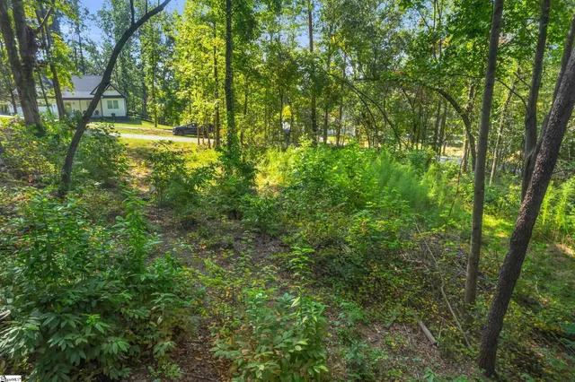 $149,500 | 101-103 George Williams Drive, Easley, SC 29640