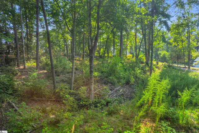 $149,500 | 101-103 George Williams Drive, Easley, SC 29640