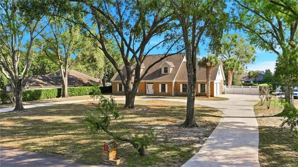 a view of a yard with plants and trees