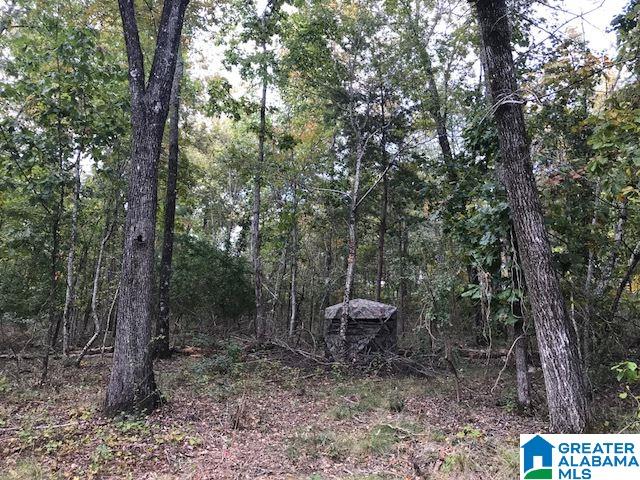 Enclave Drive, Unit 34 Springville, AL 35146 - Photo 6 of 12