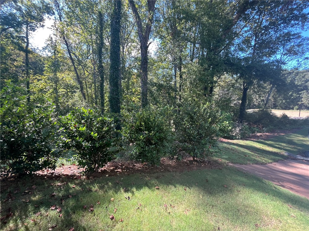 113 Pendleton Place Way Pendleton, SC 29670 - Photo 24 of 28