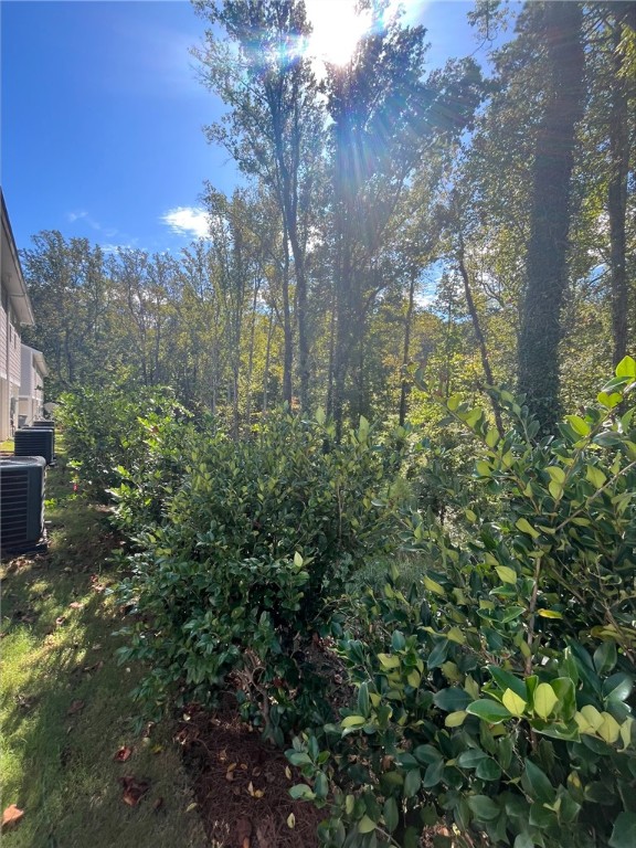 113 Pendleton Place Way Pendleton, SC 29670 - Photo 27 of 28