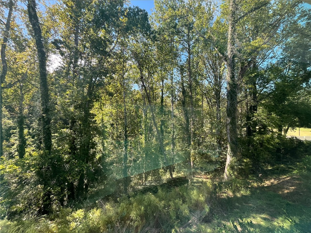 113 Pendleton Place Way Pendleton, SC 29670 - Photo 28 of 28