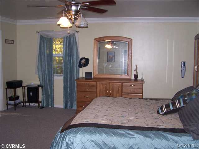 2348 Mountain View Road Powhatan, VA 23139 - Photo 9 of 12 Master Bedroom - Master Bedroom