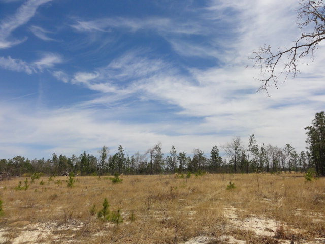 0 Mayfield Road Aiken, SC 29801 - Photo 2 of 2