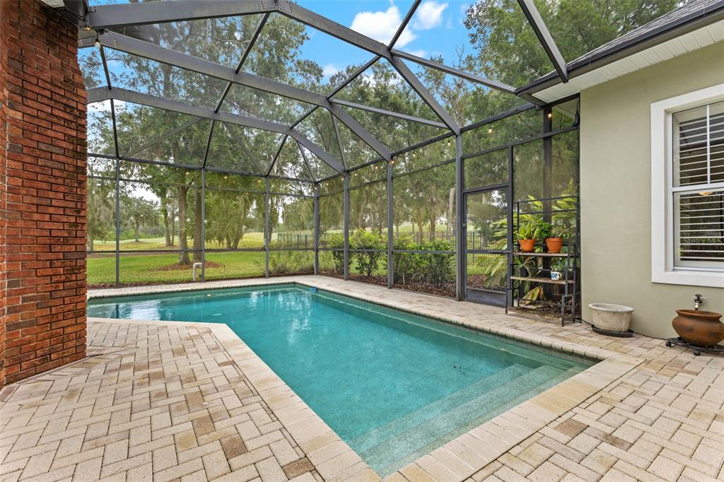 4978 Southern Valley Loop Brooksville, FL 34601 - Photo 41 of 78 a view of swimming pool with a patio and a yard