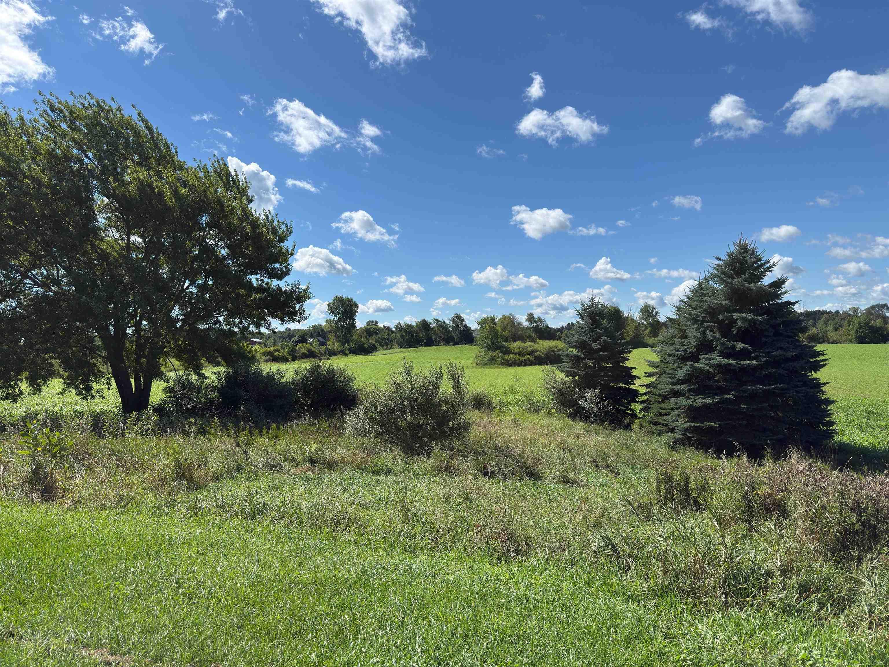 1504 South State Road Applegate, MI 48401 - Photo 46 of 47