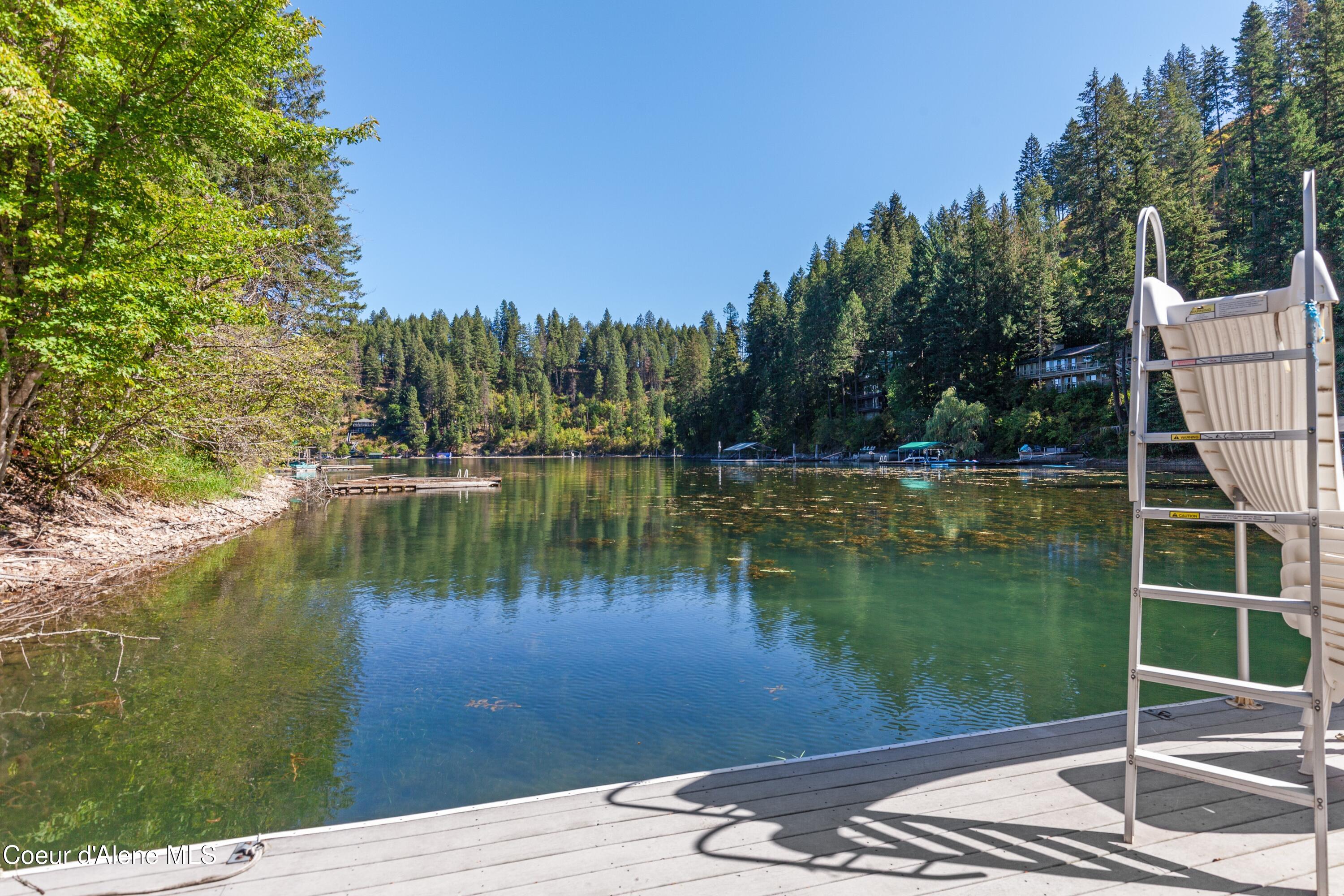 8677 North Rhapsody Lane Hayden, ID 83835 - Photo 50 of 60 Lake Life