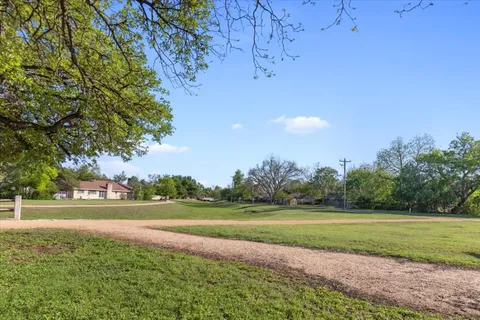 a view of a park with large trees