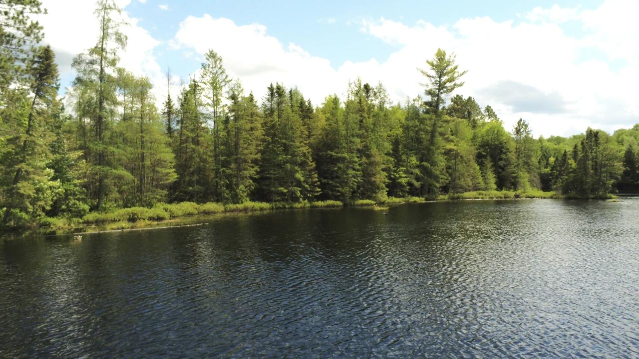 Off Sheep Ranch Road Rhinelander, WI 54501 - Photo 11 of 11 Gallery Image 11