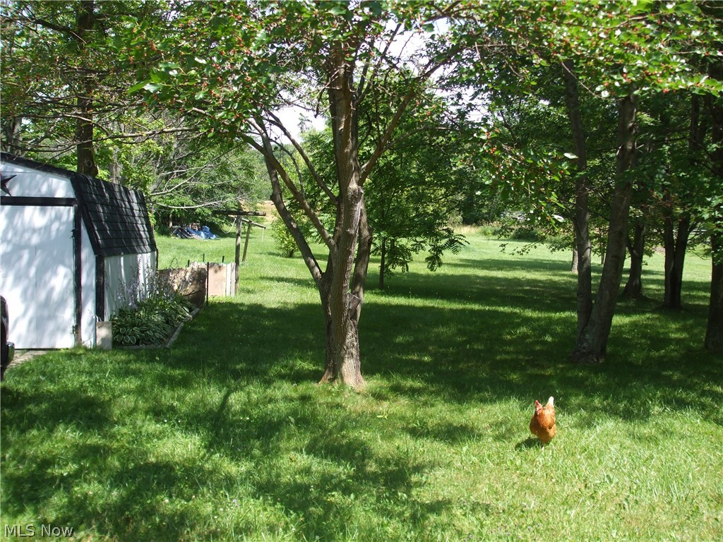 6085 Carsten Road Medina, OH 44256 - Photo 6 of 28 Gallery Image 6